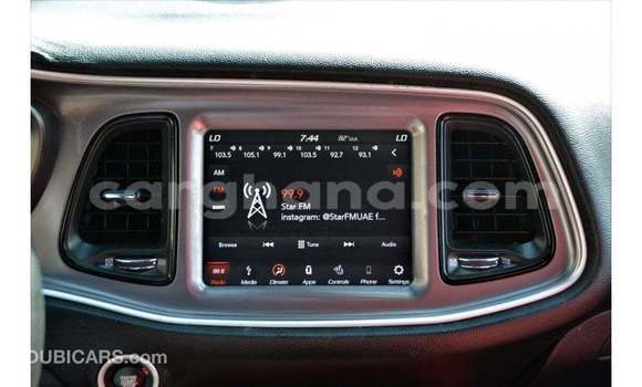 Buy Import Dodge Challenger Other Car in Import - Dubai in Ashanti Buy Import Dodge Challenger Other Car in Import - Dubai in Ashanti