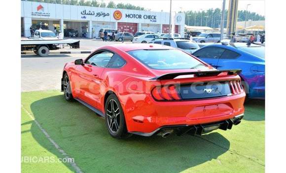 Buy Import Ford Mustang Red Car in Import - Dubai in Ashanti Buy Import Ford Mustang Red Car in Import - Dubai in Ashanti