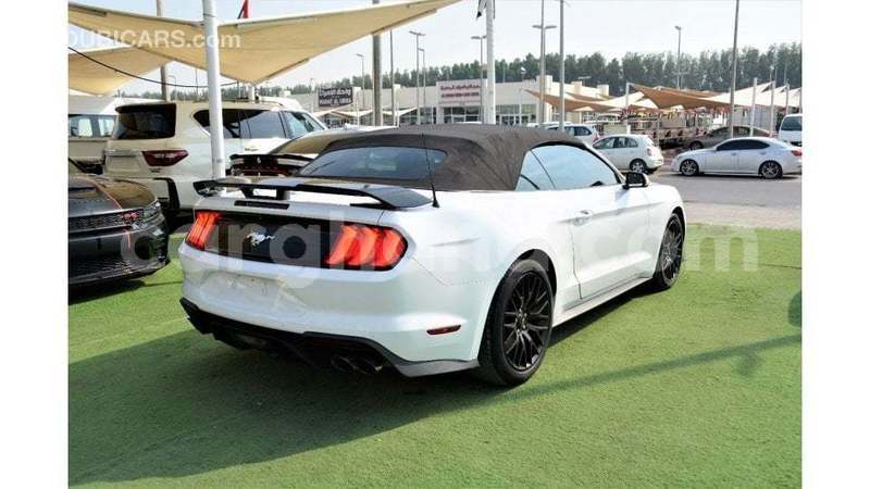 Big with watermark ford mustang ashanti import dubai 52369