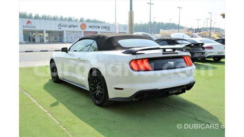 Big with watermark ford mustang ashanti import dubai 52369