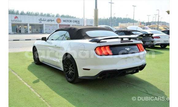 Buy Import Ford Mustang White Car in Import - Dubai in Ashanti Buy Import Ford Mustang White Car in Import - Dubai in Ashanti