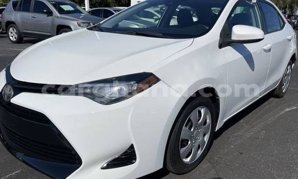 Sayi Na hannu Toyota Corolla White Mota in Accra a Greater Accra Sayi Na hannu Toyota Corolla White Mota in Accra a Greater Accra