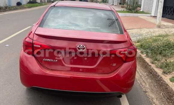 Ra Àlòkù Toyota Corolla Red Ọkọ̀ in Accra ni Greater Accra Ra Àlòkù Toyota Corolla Red Ọkọ̀ in Accra ni Greater Accra