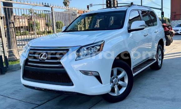 Ra Àlòkù Lexus GX funfun Ọkọ̀ in Accra ni Greater Accra