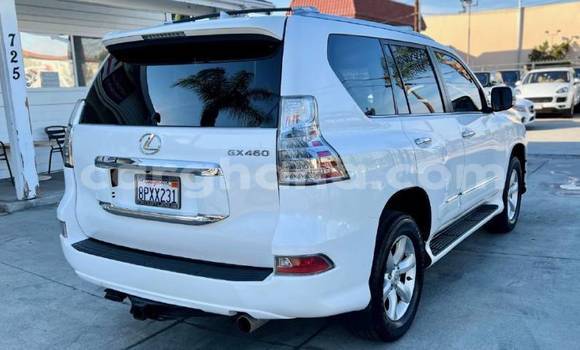 Sayi Na hannu Lexus GX White Mota in Accra a Greater Accra Sayi Na hannu Lexus GX White Mota in Accra a Greater Accra
