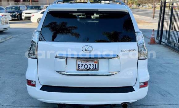 Sayi Na hannu Lexus GX White Mota in Accra a Greater Accra Sayi Na hannu Lexus GX White Mota in Accra a Greater Accra