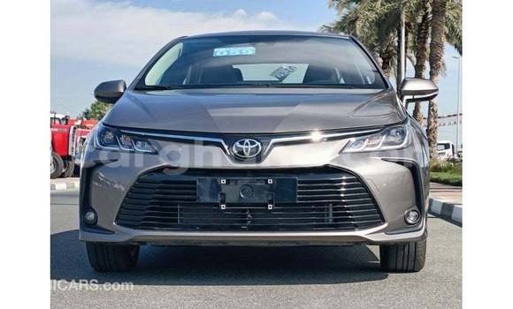 Buy Import Toyota Corolla Brown Car in Import - Dubai in Ashanti Buy Import Toyota Corolla Brown Car in Import - Dubai in Ashanti