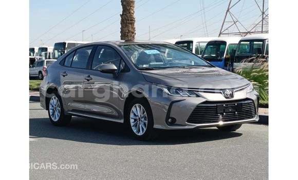 Buy Import Toyota Corolla Brown Car in Import - Dubai in Ashanti Buy Import Toyota Corolla Brown Car in Import - Dubai in Ashanti
