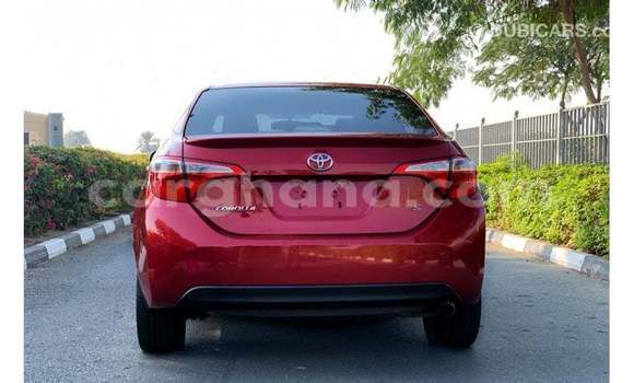 Sayi Imported Toyota Corolla Red Mota in Import - Dubai a Ashanti Sayi Imported Toyota Corolla Red Mota in Import - Dubai a Ashanti
