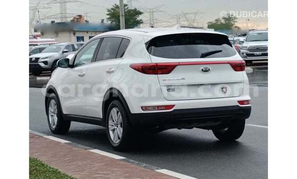 Buy Import Kia Sportage White Car in Import - Dubai in Ashanti Buy Import Kia Sportage White Car in Import - Dubai in Ashanti