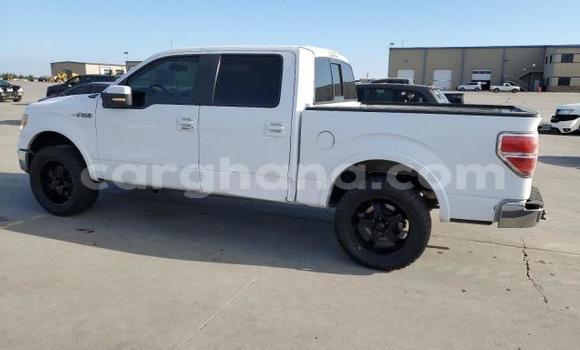 Sayi Na hannu Ford F–150 White Mota in Accra a Greater Accra Sayi Na hannu Ford F–150 White Mota in Accra a Greater Accra