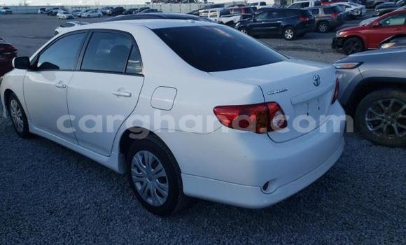 Sayi Na hannu Toyota Corolla White Mota in Accra a Greater Accra Sayi Na hannu Toyota Corolla White Mota in Accra a Greater Accra