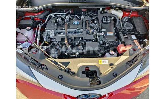 Buy Import Toyota C-HR Red Car in Import - Dubai in Ashanti Buy Import Toyota C-HR Red Car in Import - Dubai in Ashanti