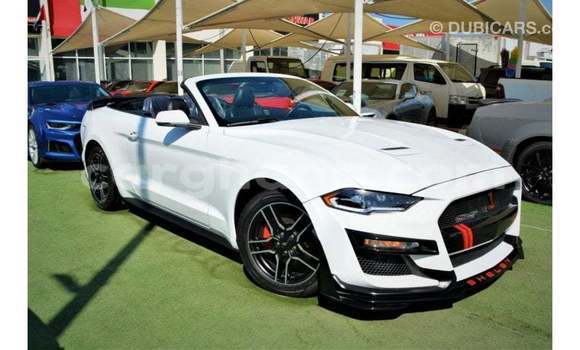 Buy Import Ford Mustang White Car in Import - Dubai in Ashanti Buy Import Ford Mustang White Car in Import - Dubai in Ashanti