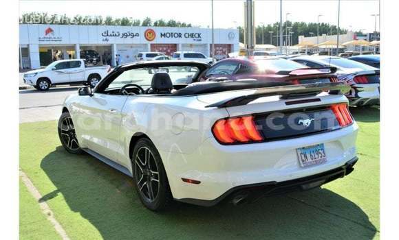 Buy Import Ford Mustang White Car in Import - Dubai in Ashanti Buy Import Ford Mustang White Car in Import - Dubai in Ashanti