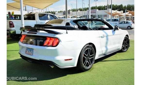 Buy Import Ford Mustang White Car in Import - Dubai in Ashanti Buy Import Ford Mustang White Car in Import - Dubai in Ashanti