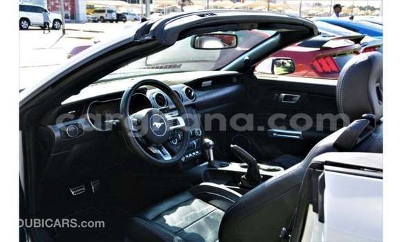 Buy Import Ford Mustang White Car in Import - Dubai in Ashanti Buy Import Ford Mustang White Car in Import - Dubai in Ashanti