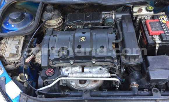 Sayi Na hannu Peugeot 206 Blue Mota in Tema a Greater Accra Sayi Na hannu Peugeot 206 Blue Mota in Tema a Greater Accra