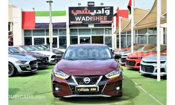 Buy Import Nissan Maxima Other Car in Import - Dubai in Ashanti Buy Import Nissan Maxima Other Car in Import - Dubai in Ashanti