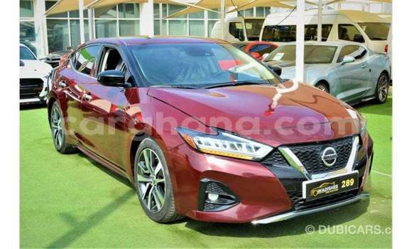 Buy Import Nissan Maxima Other Car in Import - Dubai in Ashanti Buy Import Nissan Maxima Other Car in Import - Dubai in Ashanti
