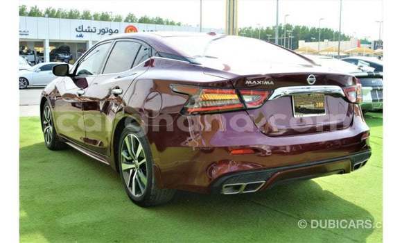 Buy Import Nissan Maxima Other Car in Import - Dubai in Ashanti Buy Import Nissan Maxima Other Car in Import - Dubai in Ashanti