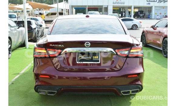 Buy Import Nissan Maxima Other Car in Import - Dubai in Ashanti Buy Import Nissan Maxima Other Car in Import - Dubai in Ashanti