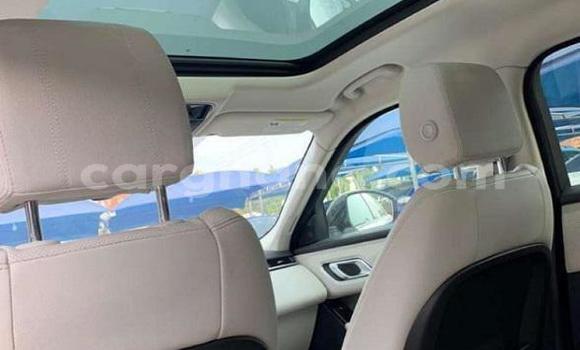 Buy New Audi Q7 White Car in Tema in Greater Accra Buy New Audi Q7 White Car in Tema in Greater Accra