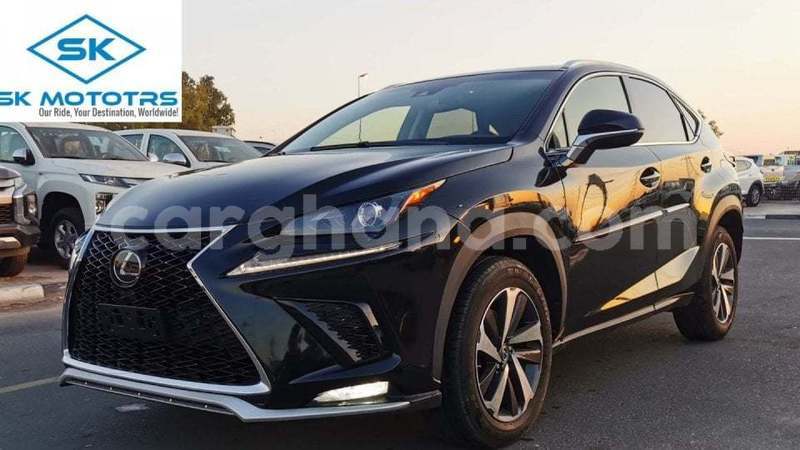 Big with watermark lexus nx ashanti import dubai 53368