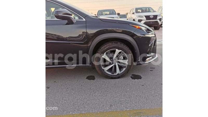 Big with watermark lexus nx ashanti import dubai 53368