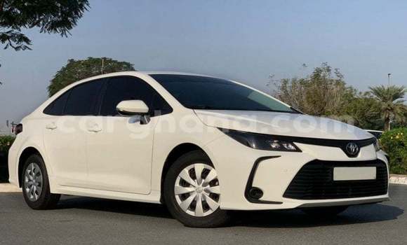 Buy Import Toyota Corolla White Car in Import - Dubai in Ashanti