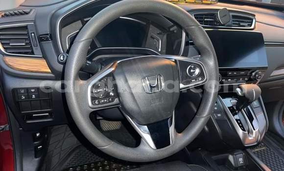 Buy Used Honda CR–V Red Car in Takoradi in Western Buy Used Honda CR–V Red Car in Takoradi in Western