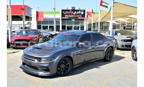 Buy Import Dodge Charger Other Car in Import - Dubai in Ashanti