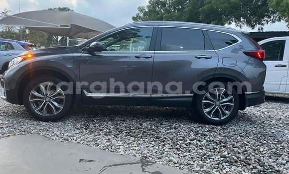 Ra Àlòkù Honda CR–V Alagara Ọkọ̀ in Iwọn didun ni Oorun Ra Àlòkù Honda CR–V Alagara Ọkọ̀ in Iwọn didun ni Oorun