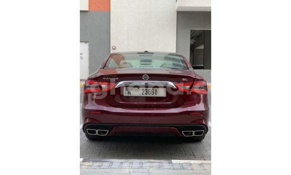 Buy Import Nissan Maxima Other Car in Import - Dubai in Ashanti Buy Import Nissan Maxima Other Car in Import - Dubai in Ashanti