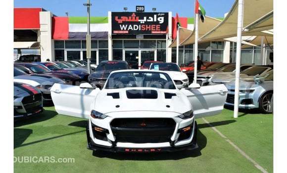 Ra Imported Ford Mustang funfun Ọkọ̀ in Import - Dubai ni Ashanti Ra Imported Ford Mustang funfun Ọkọ̀ in Import - Dubai ni Ashanti