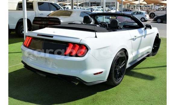 Ra Imported Ford Mustang funfun Ọkọ̀ in Import - Dubai ni Ashanti Ra Imported Ford Mustang funfun Ọkọ̀ in Import - Dubai ni Ashanti