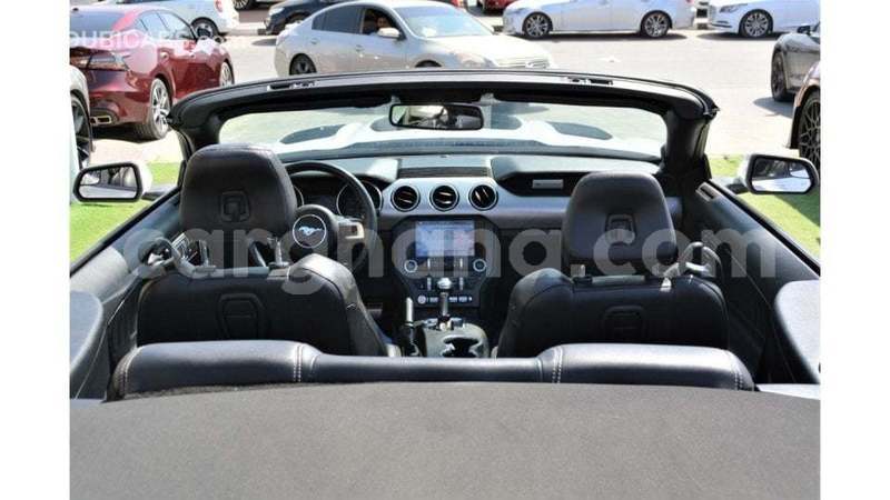 Big with watermark ford mustang ashanti import dubai 53773