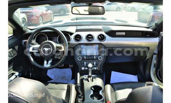 Ra Imported Ford Mustang funfun Ọkọ̀ in Import - Dubai ni Ashanti Ra Imported Ford Mustang funfun Ọkọ̀ in Import - Dubai ni Ashanti