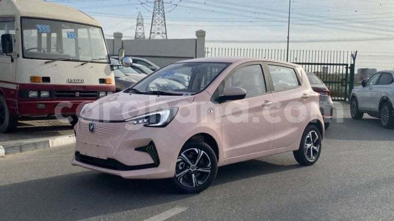 Big with watermark changan benni ashanti import dubai 53802