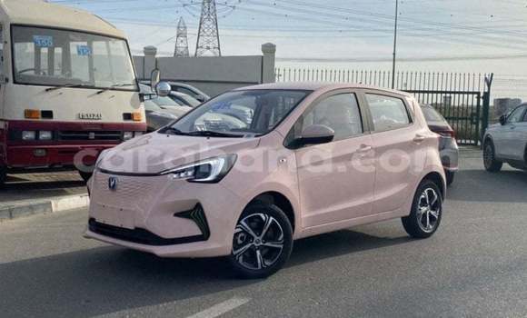 Sayi Imported Changan Benni Sauran Mota in Import - Dubai a Ashanti