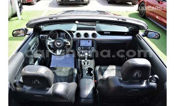 Ra Imported Ford Mustang Black Ọkọ̀ in Import - Dubai ni Ashanti Ra Imported Ford Mustang Black Ọkọ̀ in Import - Dubai ni Ashanti
