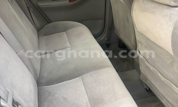 Ra Àlòkù Toyota Corolla Red Ọkọ̀ in Iwọn didun ni Oorun Ra Àlòkù Toyota Corolla Red Ọkọ̀ in Iwọn didun ni Oorun