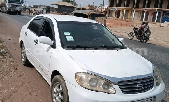 Buy Used Toyota Corolla White Car in Accra in Greater Accra