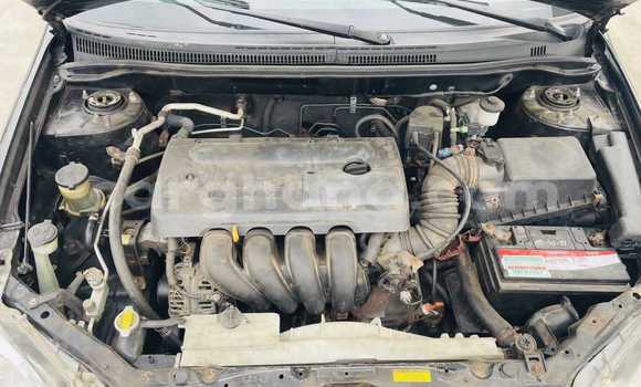 Ra Àlòkù Toyota Corolla Blue Ọkọ̀ in Iwọn didun ni Oorun Ra Àlòkù Toyota Corolla Blue Ọkọ̀ in Iwọn didun ni Oorun