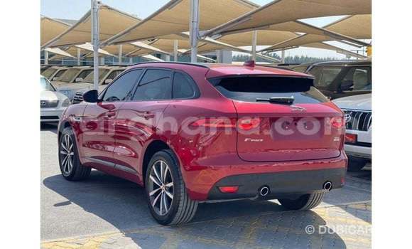 Buy Import Jaguar F-Pace Red Car in Import - Dubai in Ashanti Buy Import Jaguar F-Pace Red Car in Import - Dubai in Ashanti