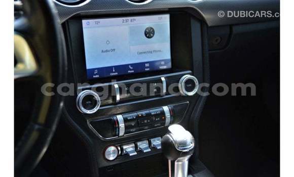 Buy Import Ford Mustang Blue Car in Import - Dubai in Ashanti Buy Import Ford Mustang Blue Car in Import - Dubai in Ashanti