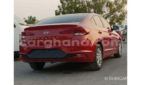 Buy Import Hyundai Elantra Red Car in Import - Dubai in Ashanti Buy Import Hyundai Elantra Red Car in Import - Dubai in Ashanti