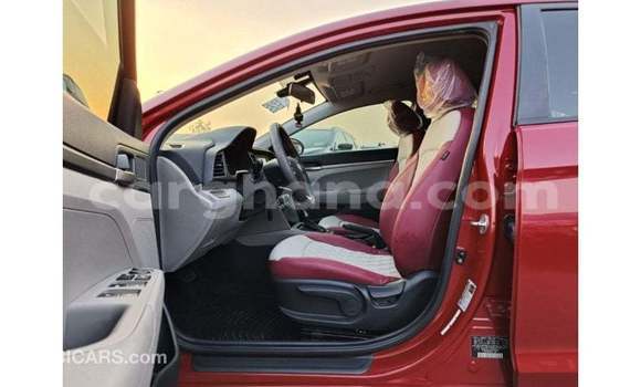 Buy Import Hyundai Elantra Red Car in Import - Dubai in Ashanti Buy Import Hyundai Elantra Red Car in Import - Dubai in Ashanti