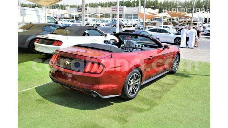 Big with watermark ford mustang ashanti import dubai 54202