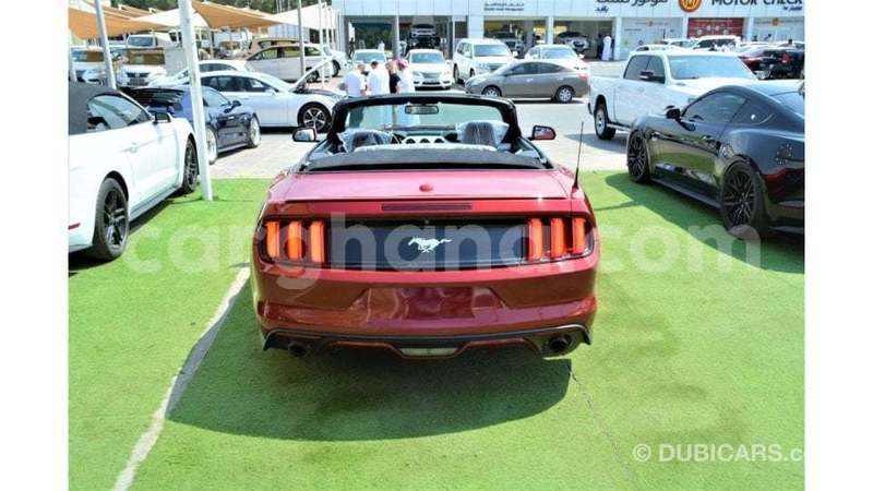 Big with watermark ford mustang ashanti import dubai 54202